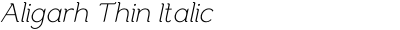 Aligarh Thin Italic